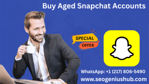 Buy Aged Snapchat Accounts